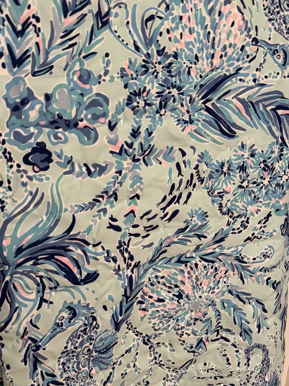Lilly Pulitzer this lilly